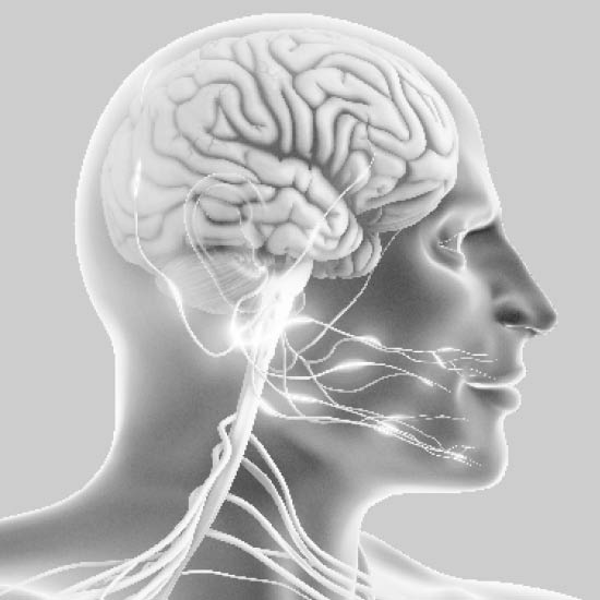 Neurologisch signaalbeeld